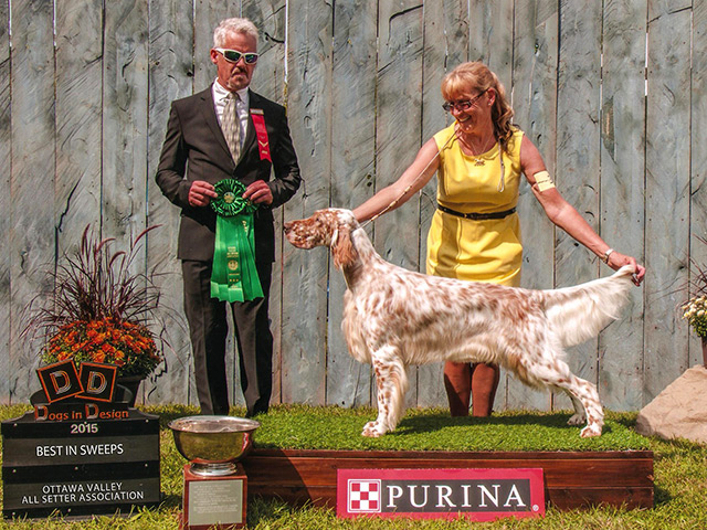 Eleventh slide image